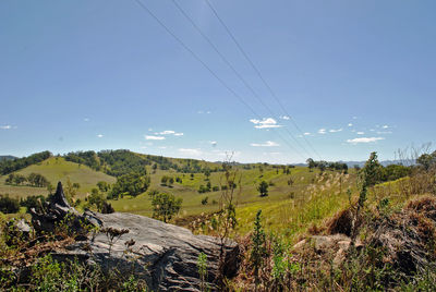 Scenic view of field against clear blue sky