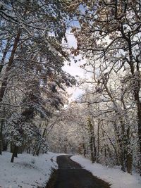 Road passing through snow covered landscape