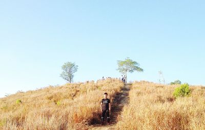 Rear view of man photographing on field against clear sky