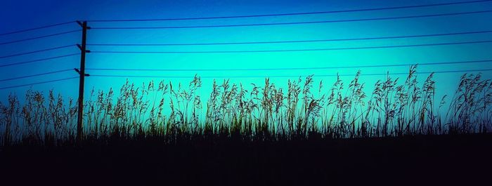 Silhouette plants on field against sky