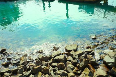 Rocks in sea
