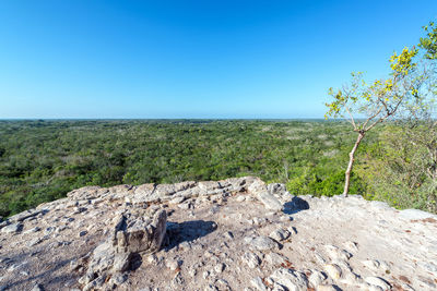 Scenic view of field against clear blue sky