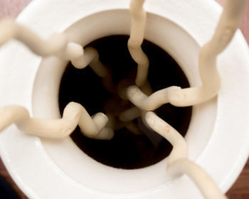 Close-up of coffee cup