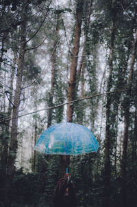 Rear view of woman walking amidst trees in forest