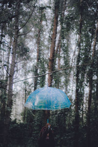 Woman with umbrella standing in forest