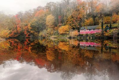 Reflection of trees on lake during autumn