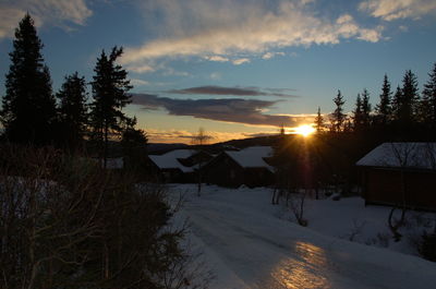 Scenic view of sunset