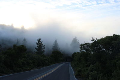 Road amidst trees against sky