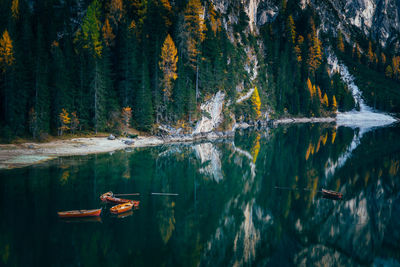 Scenic view of lake in forest