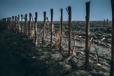 Wooden posts on field against sky