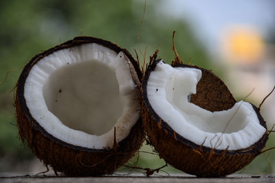 Close-up of dessert