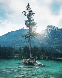 Scenic view of lake against mountains