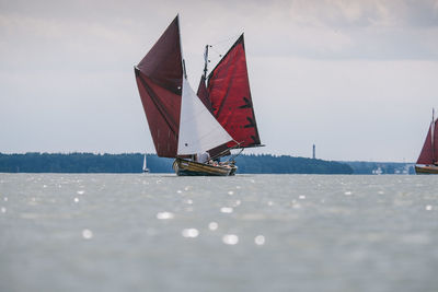 Sailboat sailing in sea against sky