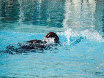 Shirtless man swimming in pool