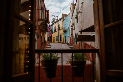 Potted plants in balcony against building