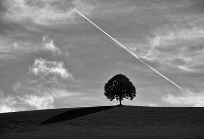 Low angle view of trees against cloudy sky