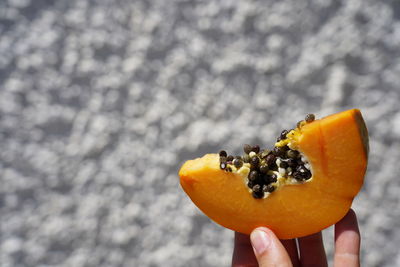 Cropped image of person holding fruit