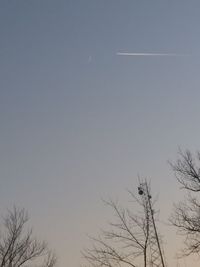 Low angle view of silhouette trees against clear sky