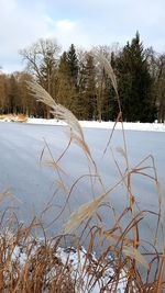 Scenic view of lake against sky during winter