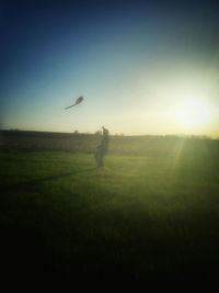 Sun shining through airplane flying over field