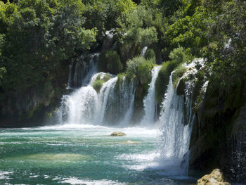 Scenic view of waterfall in forest