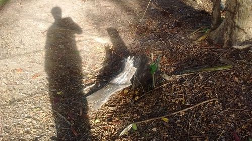 High angle view of shadow on ground