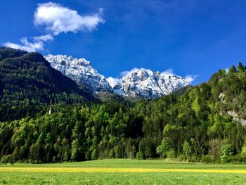 Scenic view of green landscape and mountains against sky