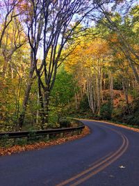 Road amidst trees in forest during autumn