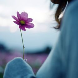 Close-up of flowers blooming outdoors