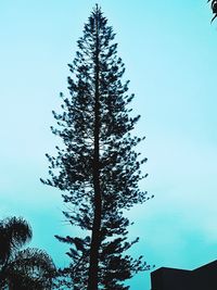 Low angle view of silhouette tree against clear blue sky