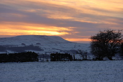 Scenic view of house against sky during sunset