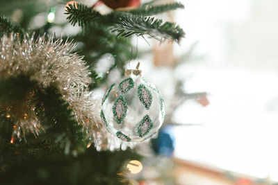 Close-up of christmas tree