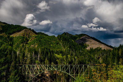 Panoramic view of trees on mountain against sky