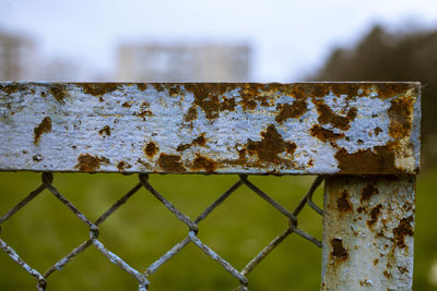 fence