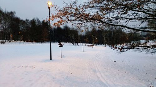 Trees on snow covered field against sky