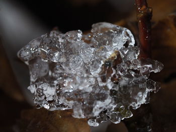 Close-up of ice crystals