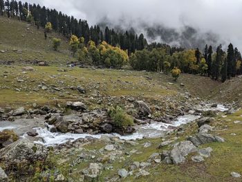 Scenic view of river stream amidst trees against sky