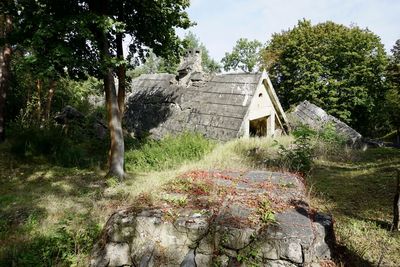 Plants growing on old building in forest