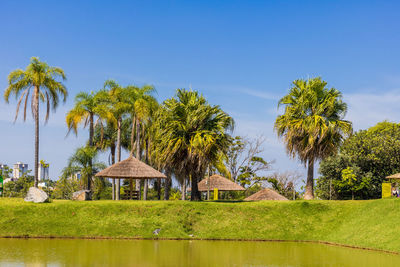 Scenic view of palm trees and plants against sky