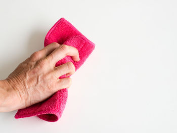 Close-up of hand holding pink flower over white background