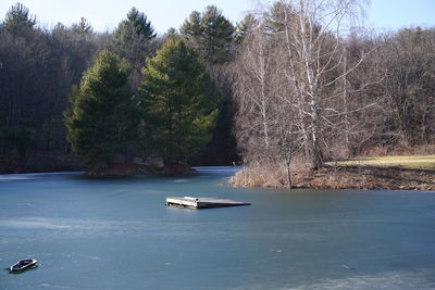 Scenic view of river against trees