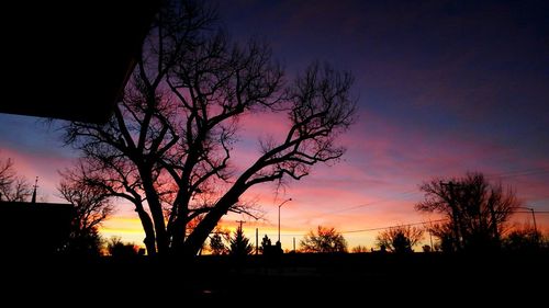 Silhouette of trees at sunset