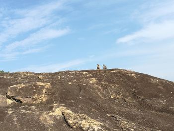 Monkeys sitting on mountain against sky