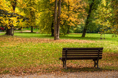 Bench in park during autumn