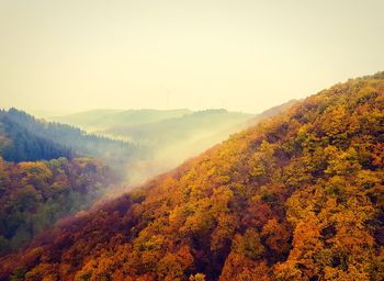 Scenic view of trees against sky during autumn