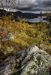 Scenic view of landscape against sky