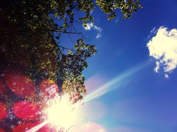 Low angle view of trees against blue sky