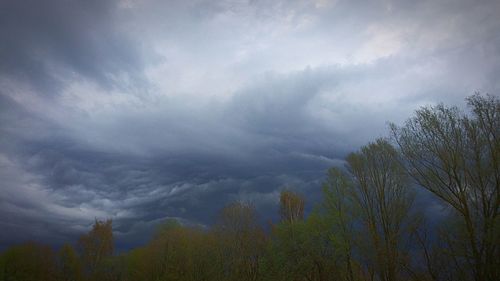 Low angle view of trees against cloudy sky