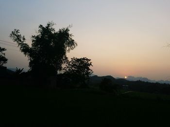 Silhouette trees on field against sky during sunset