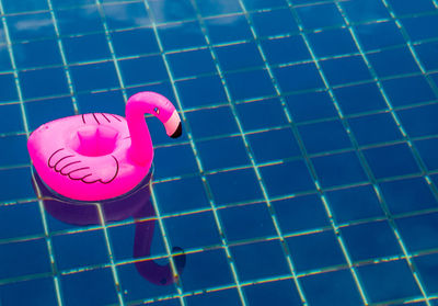 Close-up of pink umbrella